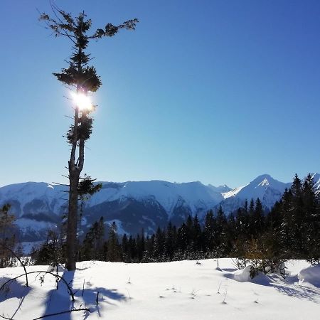 Chalupka U Babicky Villa Zdiar Bagian luar foto