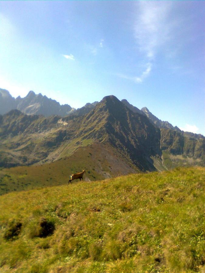 Chalupka U Babicky Villa Zdiar Bagian luar foto