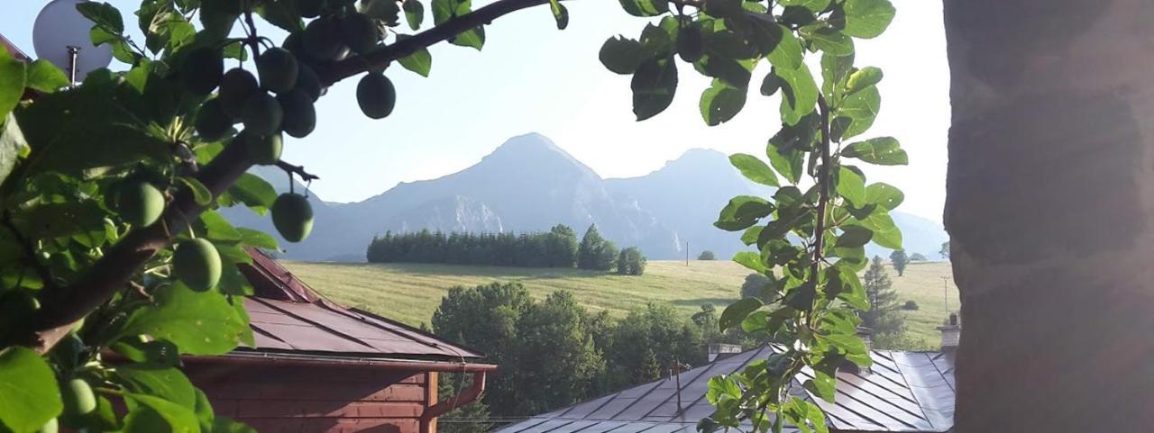 Chalupka U Babicky Villa Zdiar Bagian luar foto