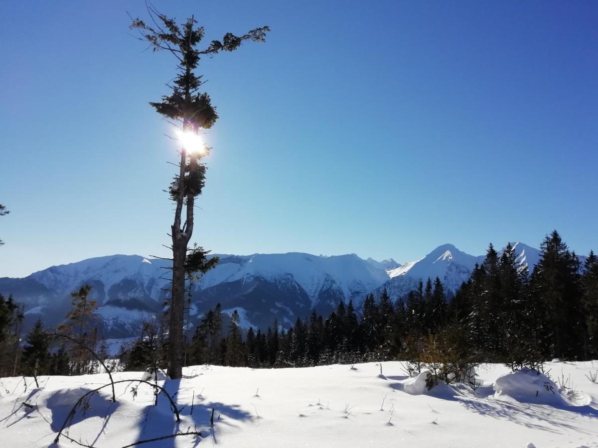 Chalupka U Babicky Villa Zdiar Bagian luar foto
